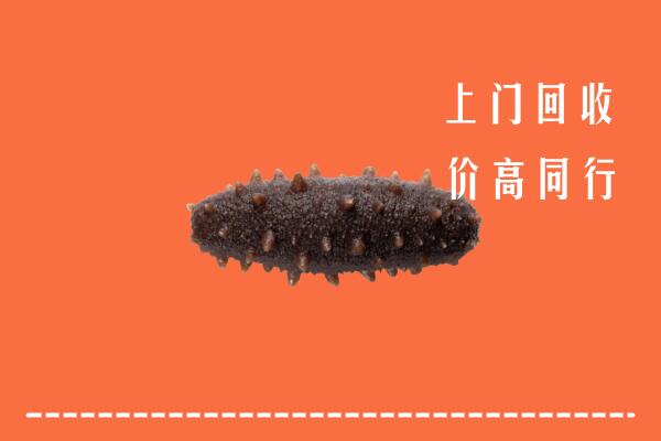 高价求购：秦皇岛抚宁区回收海参
