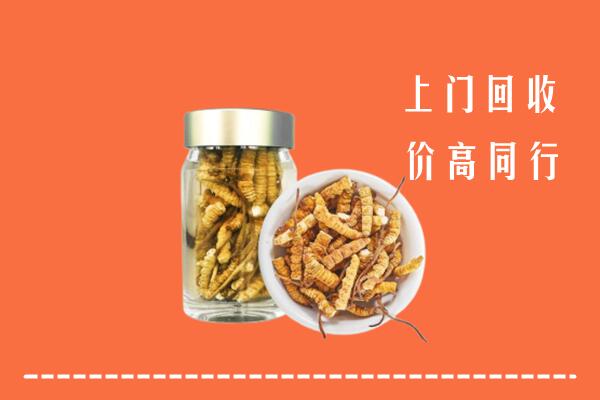 秦皇岛抚宁区回收冬虫夏草