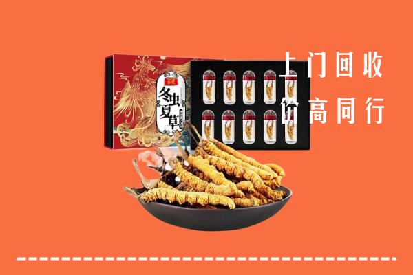 秦皇岛抚宁区回收虫草